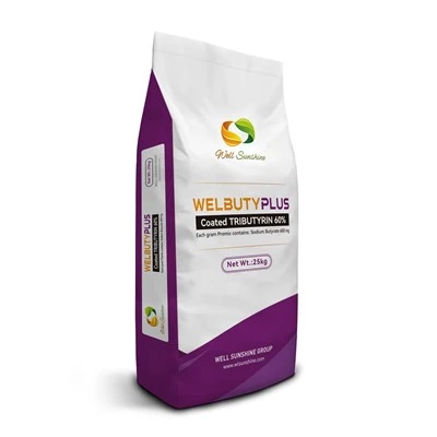 Boostez la croissance du tilapia rouge et la santé intestinale avec la Tribyrine|Welbuty Plus